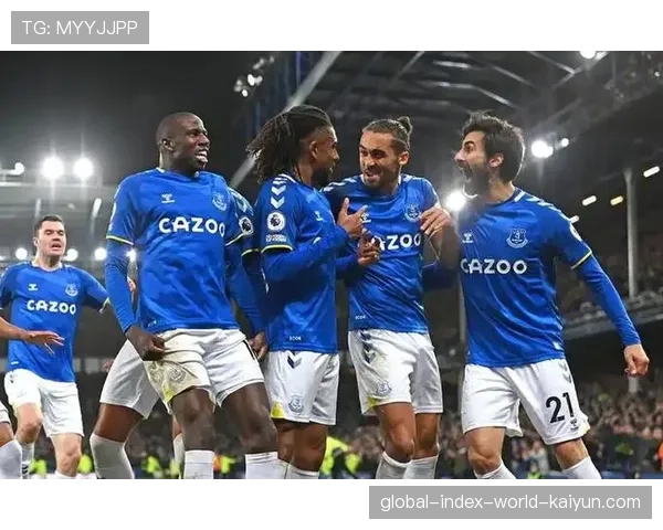 埃弗顿补时绝平布伦特福德 霍尔进球助球队艰难取分